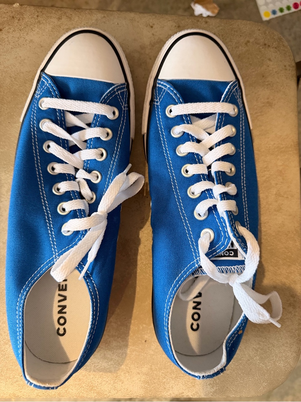 Converse Low Top Canvas Sneakers - Blue